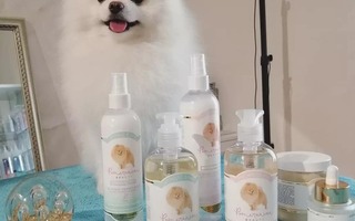 Új Pomeranian Beauty termékek